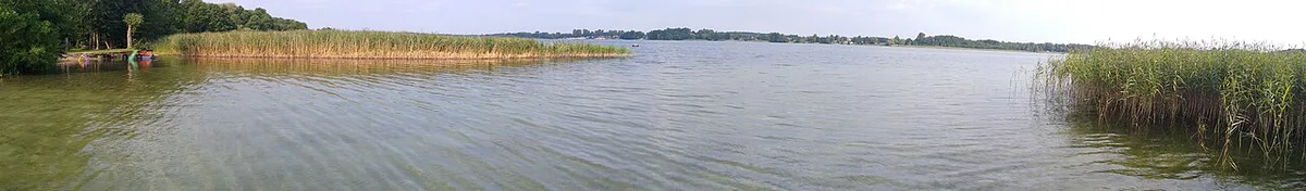 Gostynin walczy o tytuł "Sportowego miasta" w plebiscycie