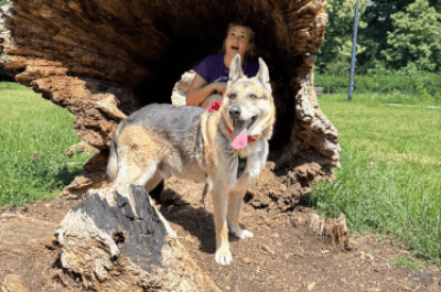 Adoptuj w Parku Morskie Oko Warszawiaka