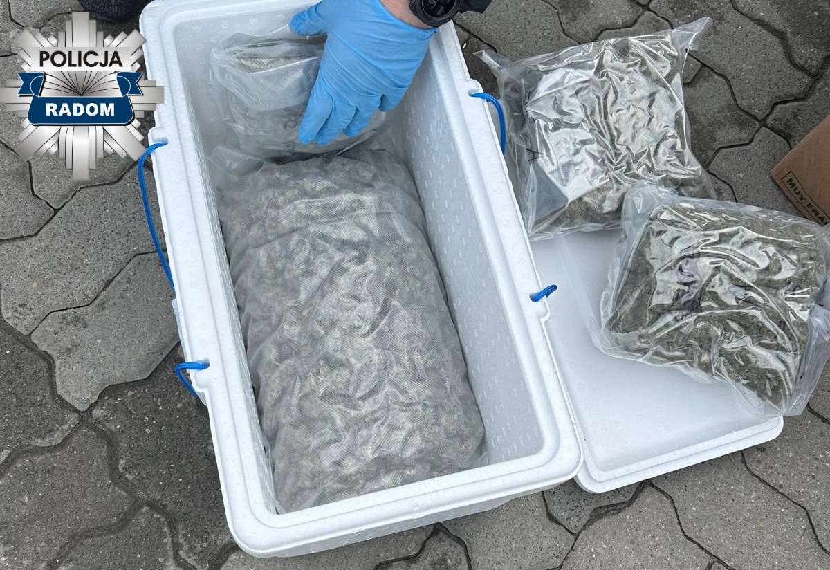 Odebrał paczkę z narkotykami i wpadł w ręce radomskich policjantów