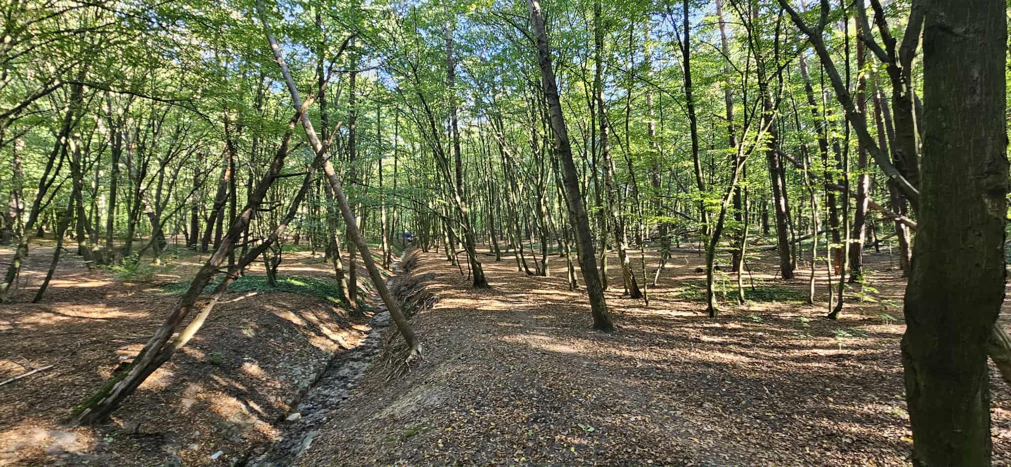 Prace na obszarze użytku ekologicznego Adamów-Zalesie