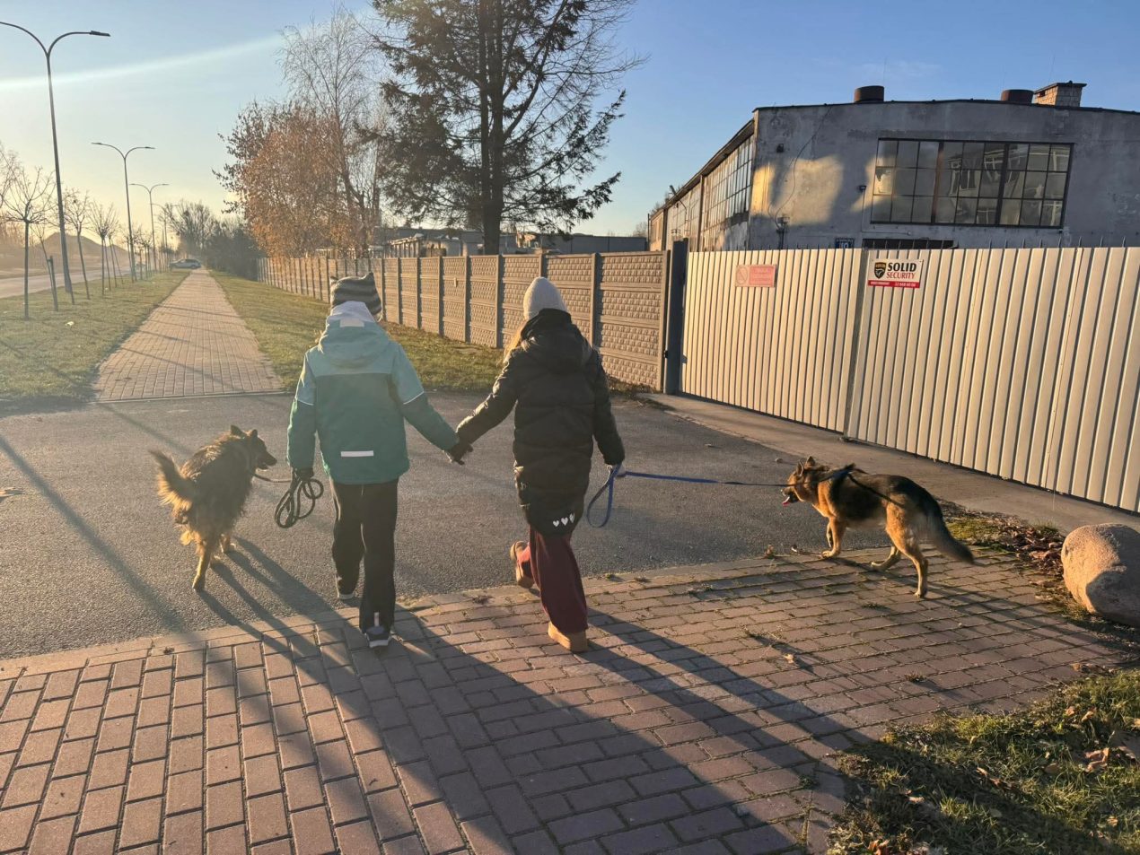 Spacery z podopiecznymi Pruszkowskiego Stowarzyszenia na Rzecz Zwierząt. Przyłącz się i pomóż psiakom!