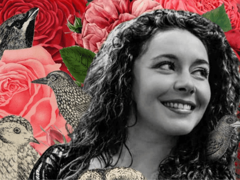 Weekendowe propozycje przedświąteczne