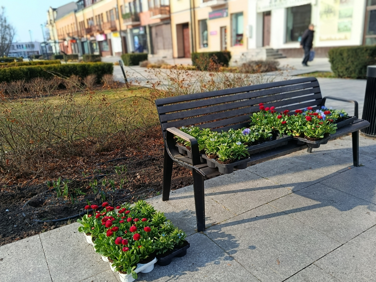 Wiosenna pora w Grodzisku Mazowieckim
