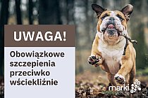 Zaszczep zwierzaka przeciwko wściekliźnie