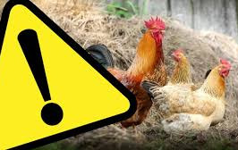 Istotna informacja dla mieszkańców powiatu płońskiego