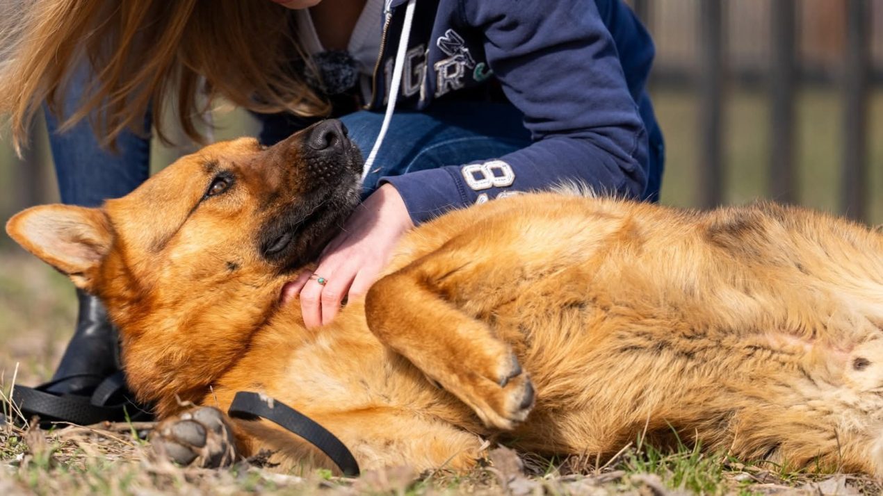 Jerry czeka… być może właśnie na Ciebie?