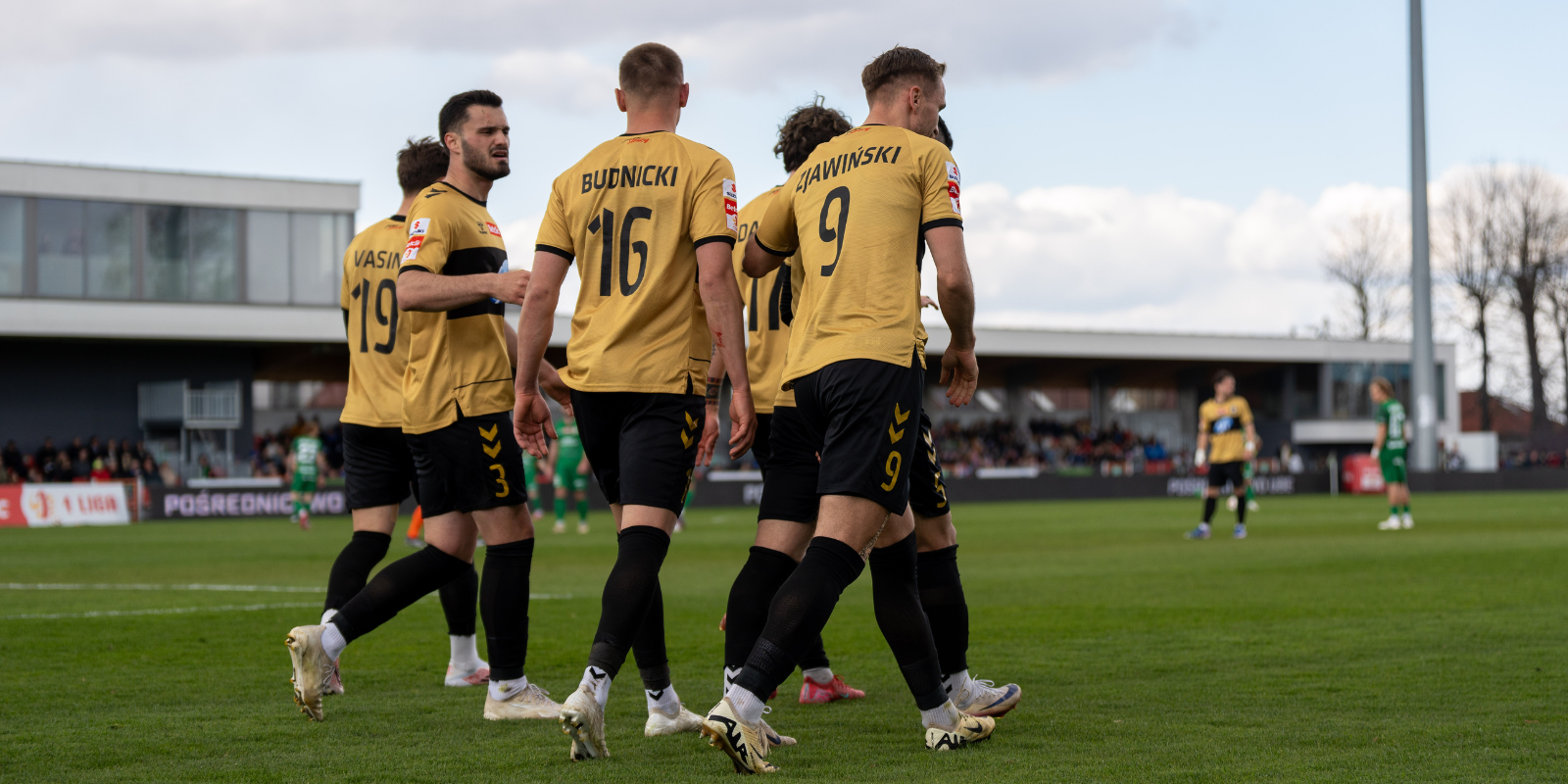 Klęska w Niepołomicach