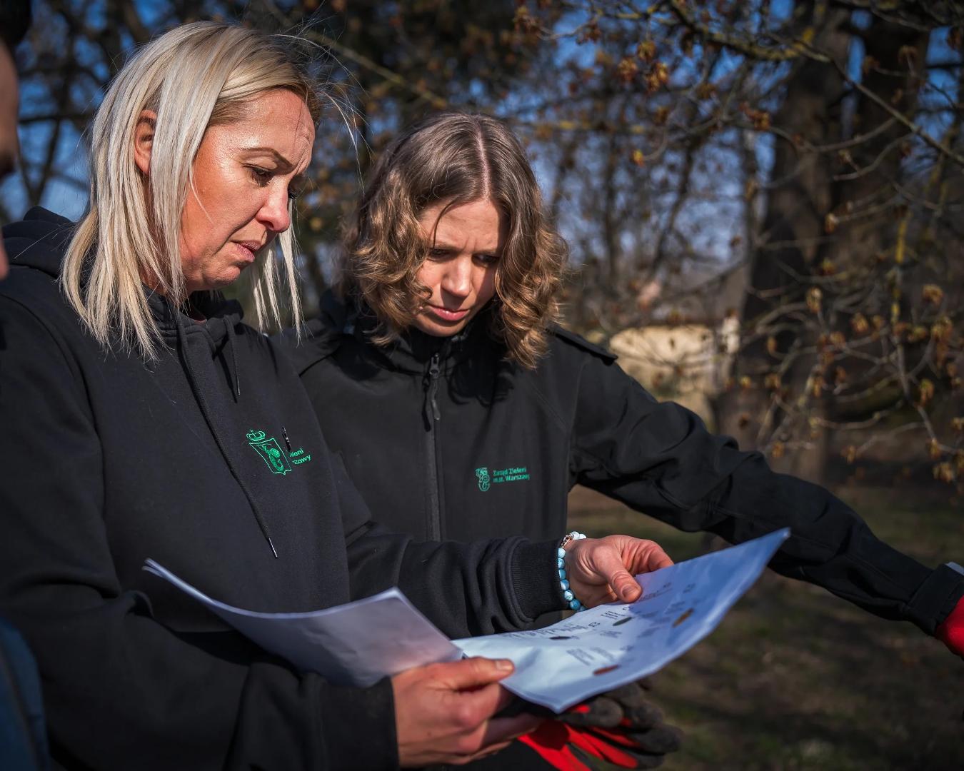 Na Polu Mokotowskim powstało nowe pole różane