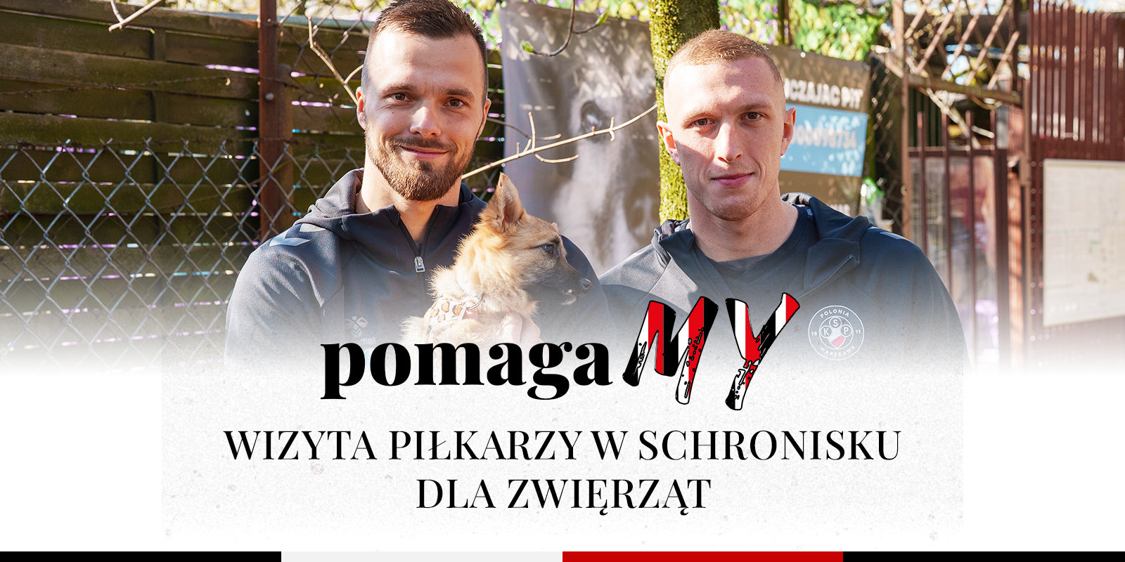 Polonia dla pupili! Piłkarze odwiedzili schronisko dla zwierząt