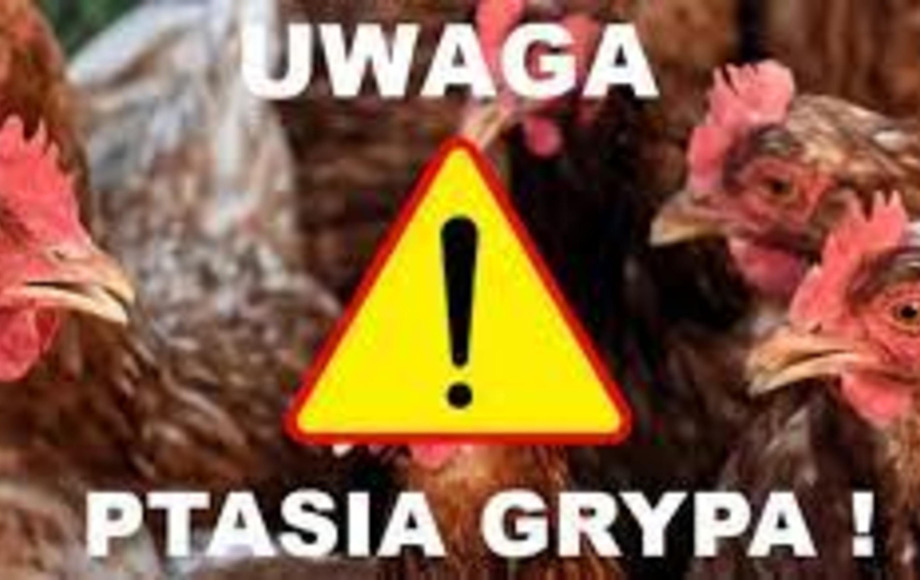 Powiatowy Lekarz Weterynarii w Płońsku informuje o wykryciu ogniska grypy ptaków