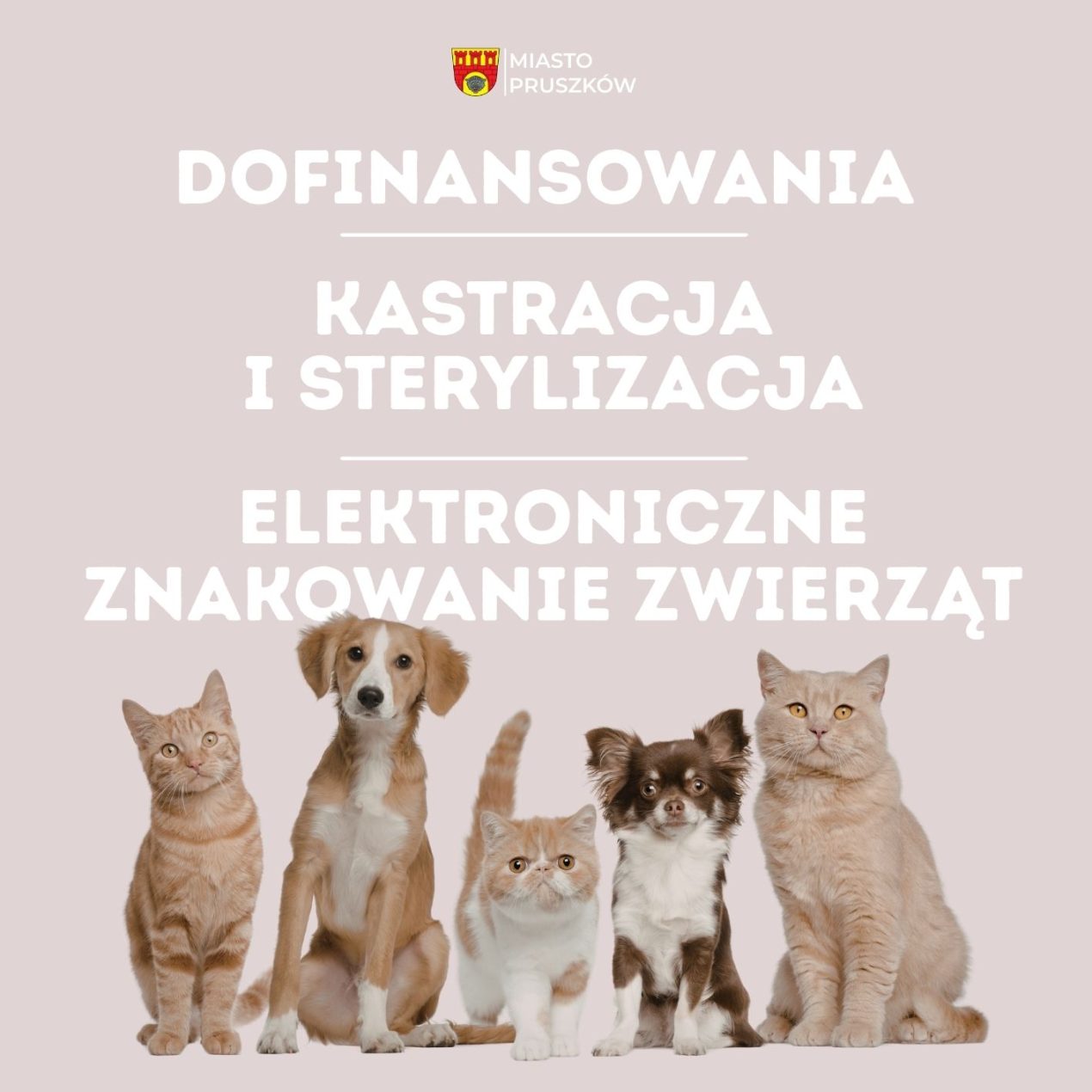 Program opieki nad zwierzętami w 2026 roku
