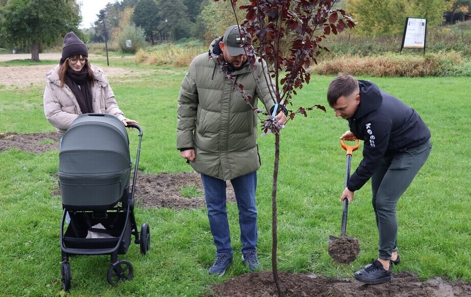 To już 162 nowych drzew
