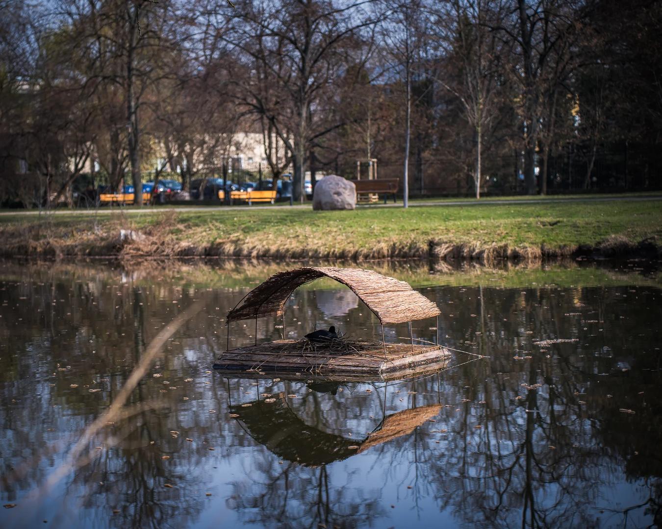 Tratwy dla ptaków wodnych na warszawskich zbiornikach