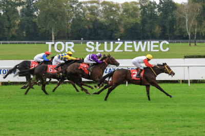 W najbliższą niedzielę rozpocznie się sezon wyścigowy na Torze Służewiec
