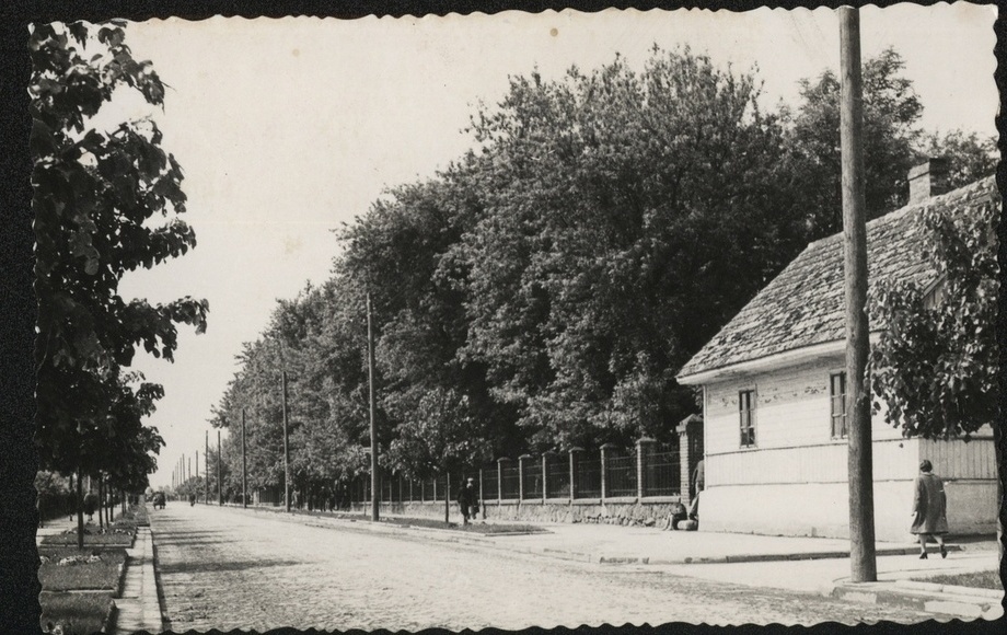 Zacieniona aleja, czyli dawniejsza ulica Traugutta