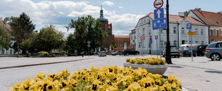 Bratki oddamy w dobre ręce
