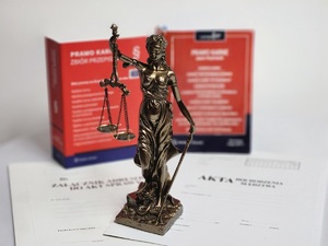 Dożywotni zakaz prowadzenia pojazdów dla zatrzymanego przez garwolińskich policjantów 22-latka