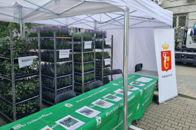 Ekopoukładani - zamień elektroodpady, baterie i odzież na rośliny