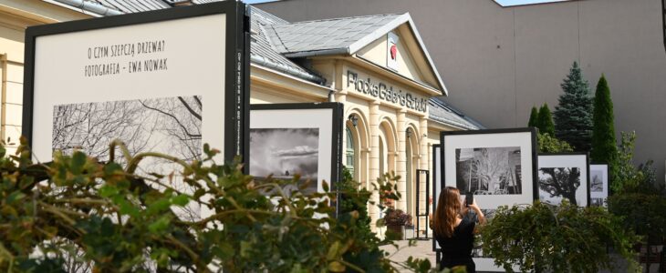Oferta edukacyjno-kulturalna Płockiej Galerii Sztuki