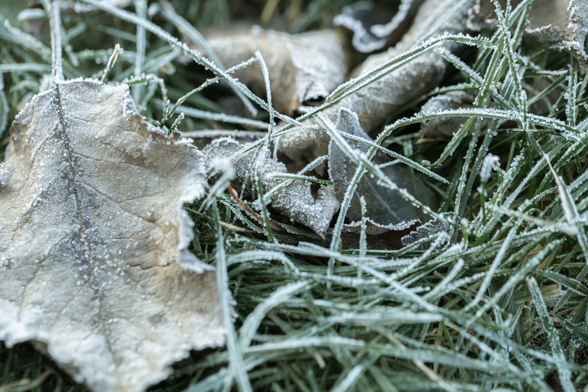 Ostrzeżenie meteorologiczne nr 46 - przymrozki