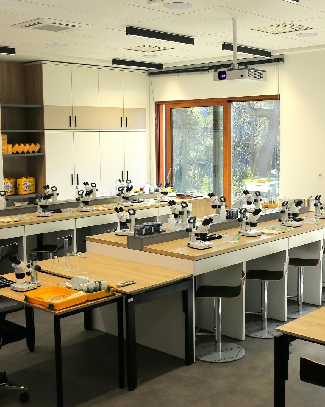 Rodzinne zajęcia w leśnym laboratorium naukowym